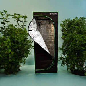 GrowPal Box 100x100x200