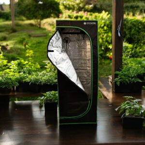 GrowPal Box 120x120x200