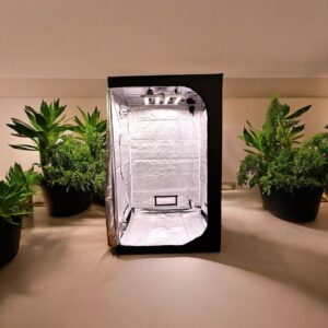 GrowPal Box 240x240x200
